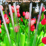 Straws for Stanley Cup, Straw for Stanley Cup 40OZ 30OZ 20OZ 14OZ, Replacement Straw for Stanley Tumbler, Reusable Straws